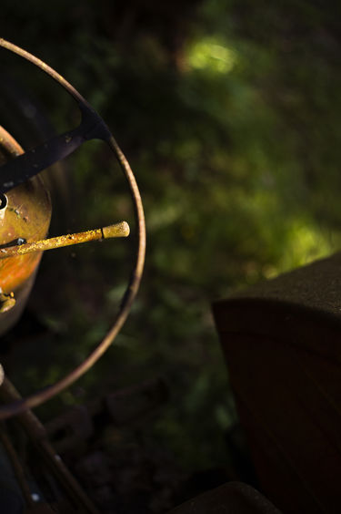 ABRA0094 copie copie B.jpg