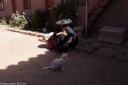 IMG_6430