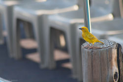 20120825-20120825-_MG_4841