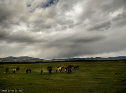 IMG_20150601_131621_HDR