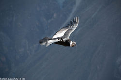 IMG_6838