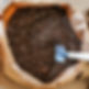 soil.jpg