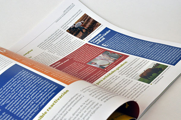 Revista FEDEGÁN