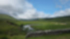 20250617_102857 - Copy.jpg