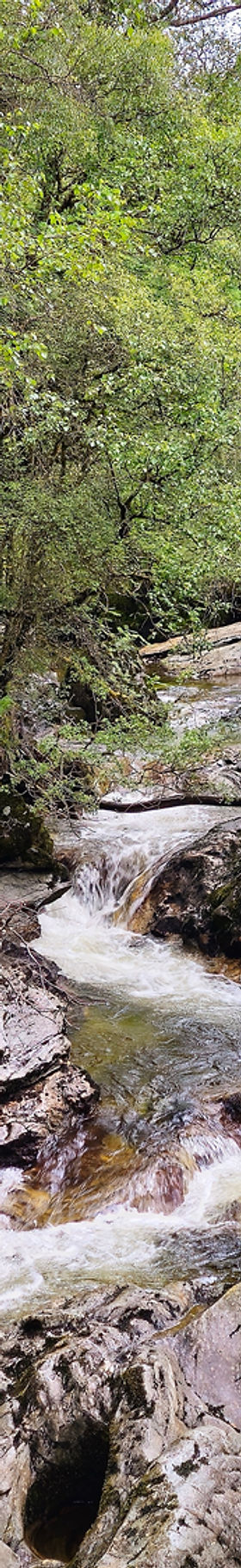 20250615_170436 - Copy.jpg