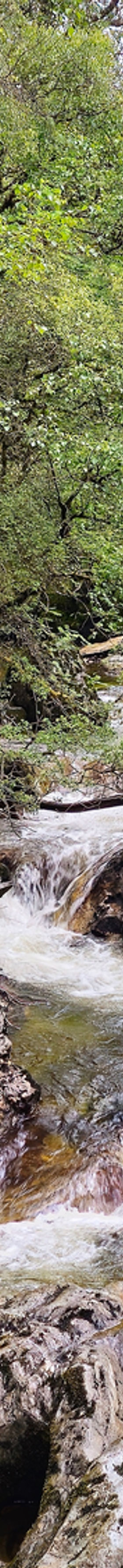 20250615_170436 - Copy.jpg