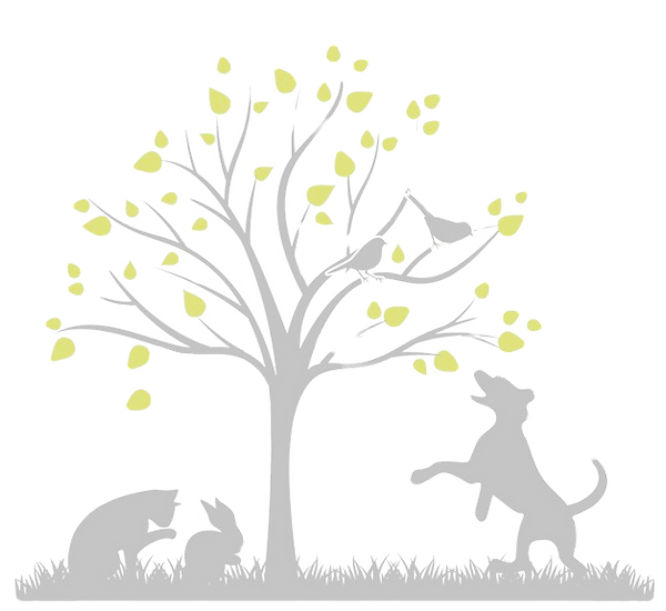 logo t (1)_edited_edited.png