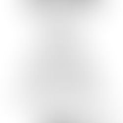 100th Anniversary Details