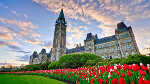 Di trú Canada - Danh mục Doanh nhân nhập cư British Columbia: tạm dừng đăng kí cho đến đầu năm 2022