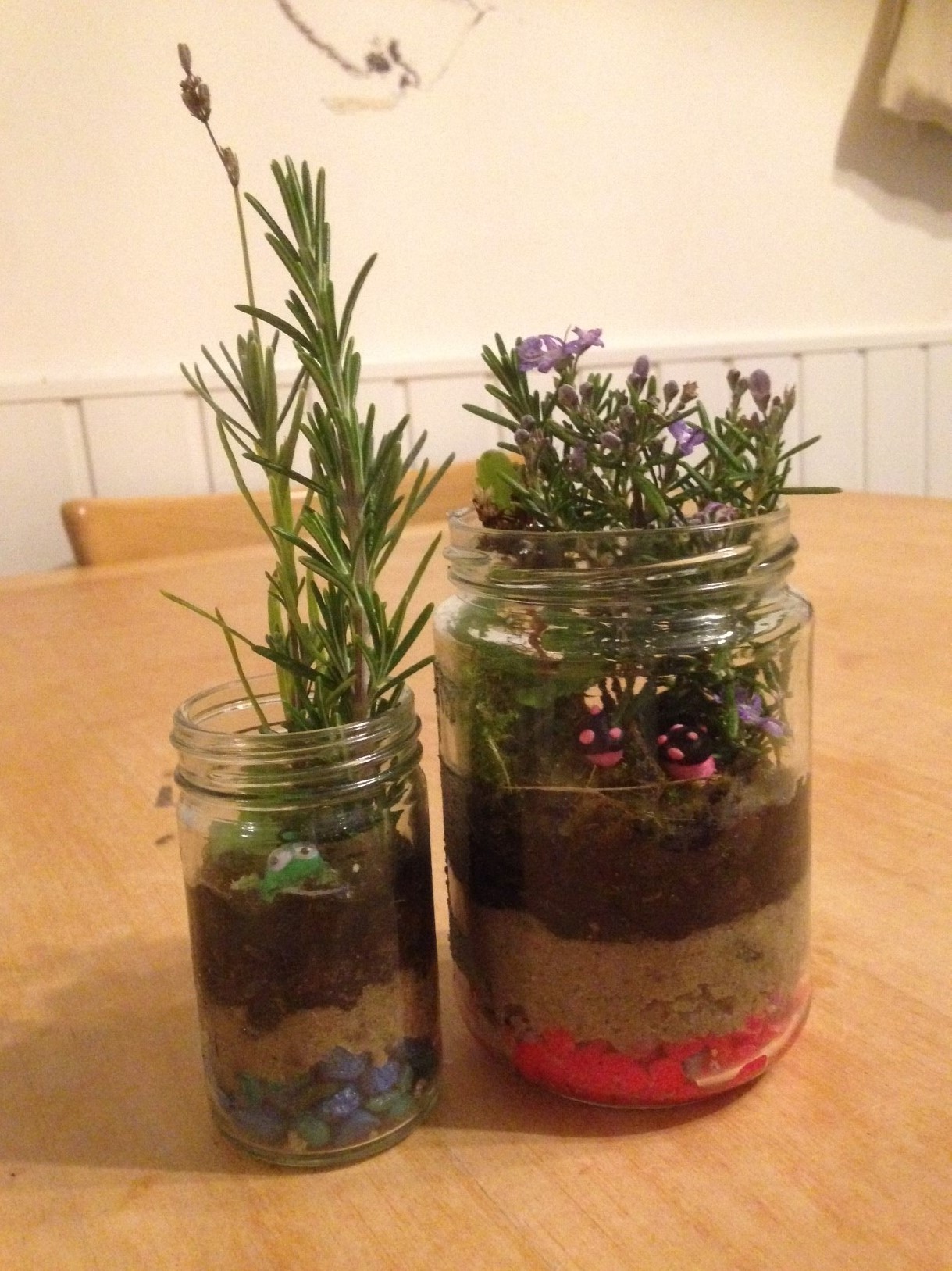 Herby Terrarium