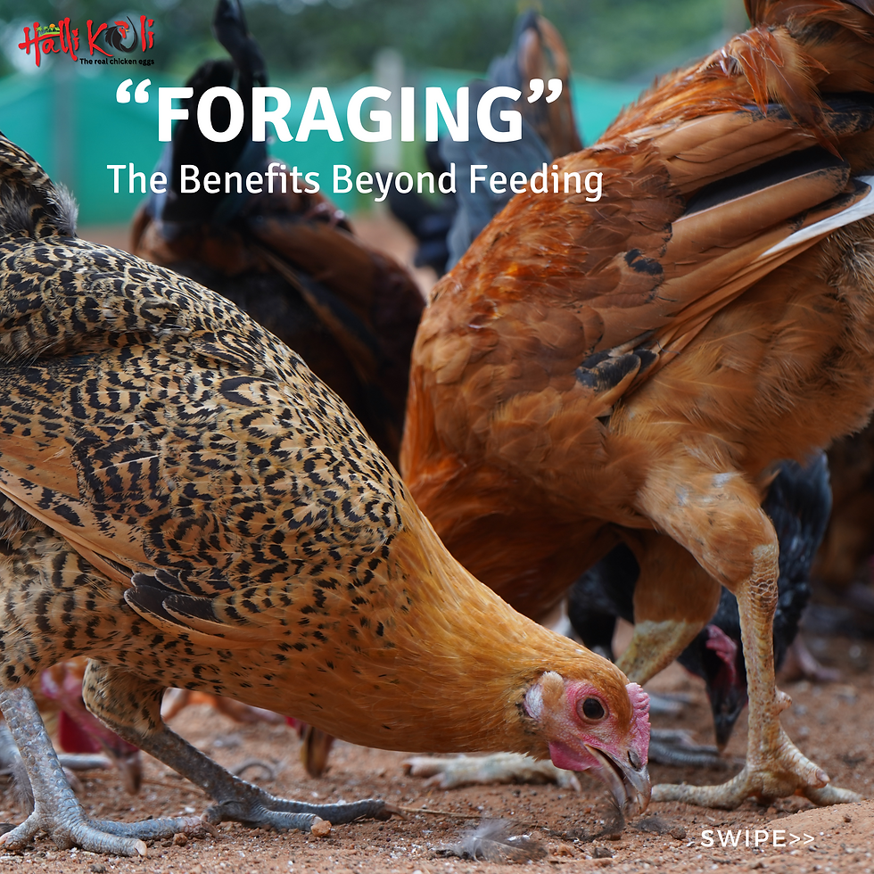farm to table (2).png