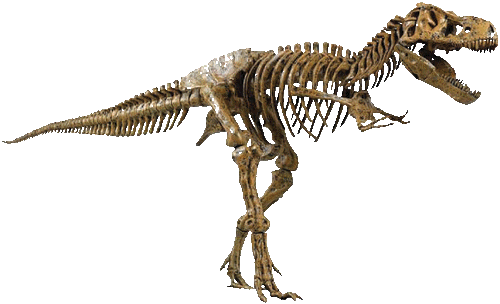 dino2.gif