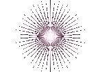 speed of light STICKER.gif
