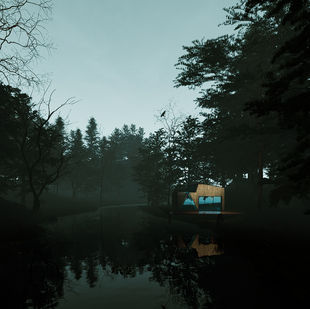 the forest house