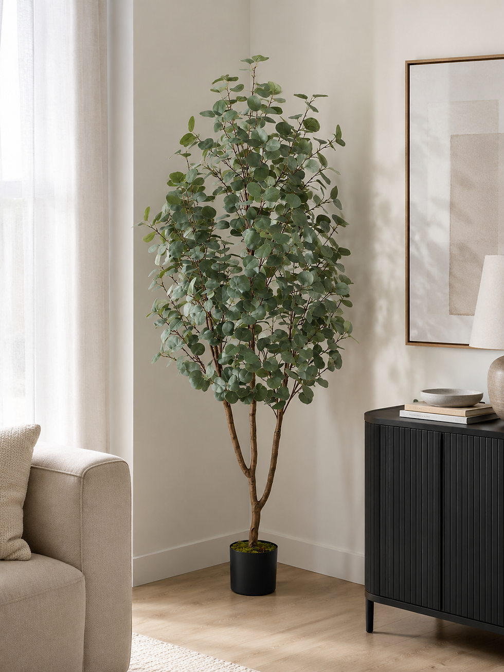 Eucalyptus Trees