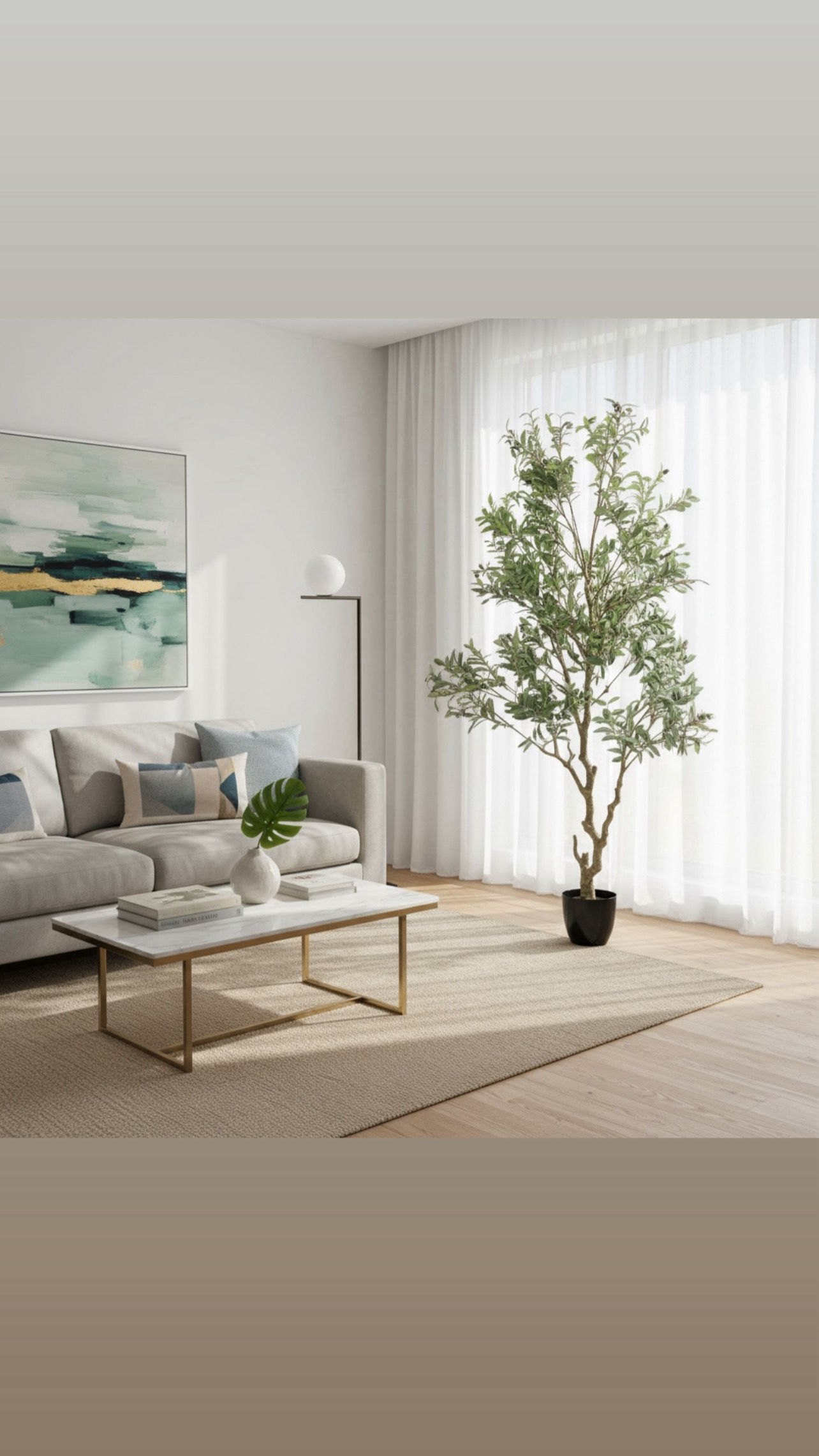 Olea europaea Tree 2.8M