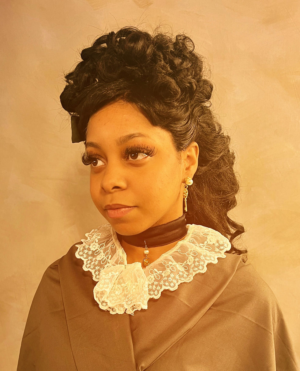 1800s Horse Mane Application