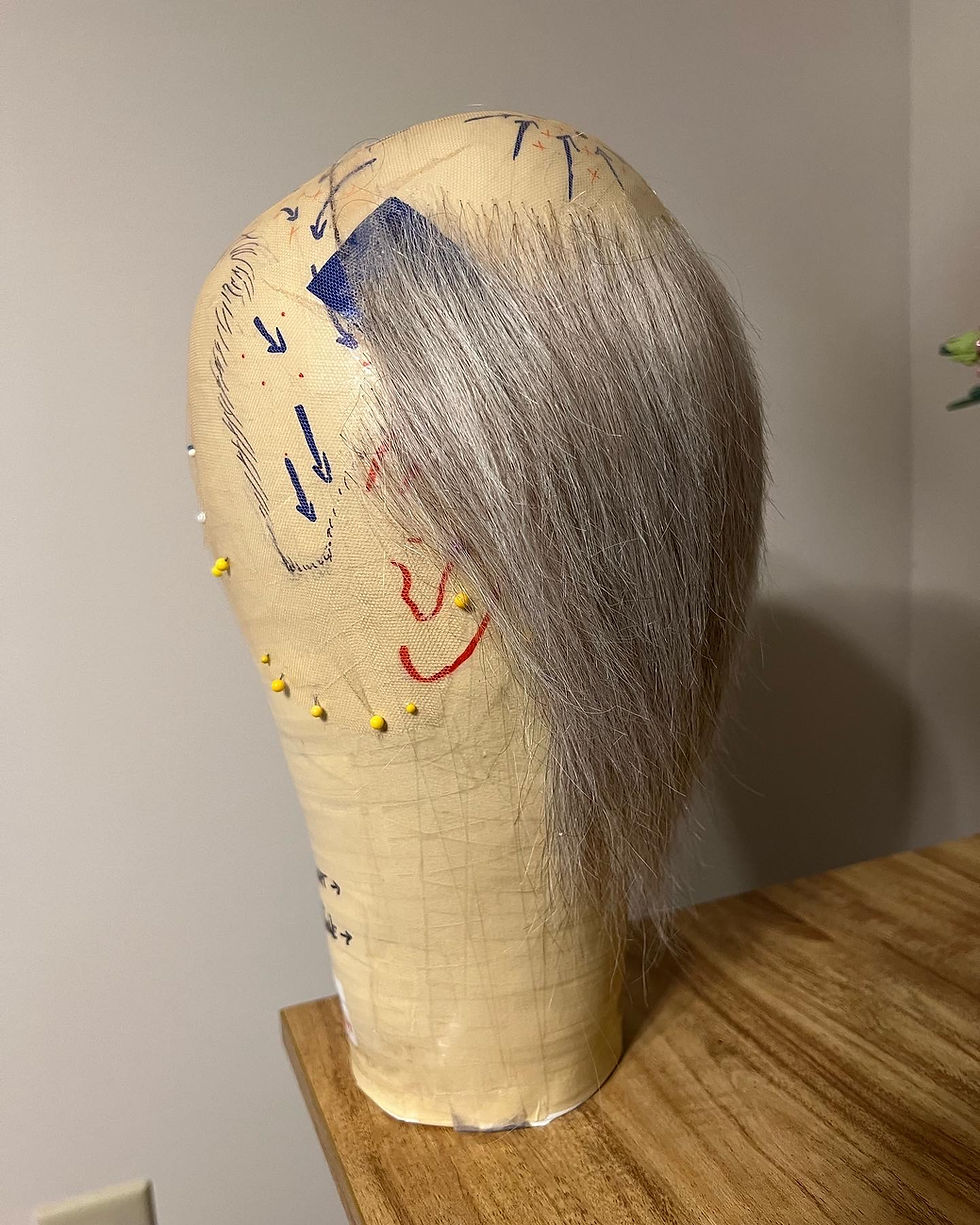 progress picture