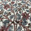 Thumbnail: P4525 Cerinthe