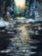 # V195 Dark Forest Fin Web File Adobe RGB 1998.jpg