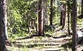 Mountain Biking Grand Lake