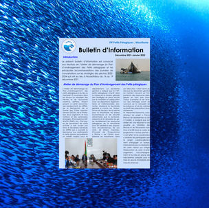 Bulletin d'information - Décembre 2021 & Janvier 2022