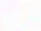 bg-palavras3_edited_edited.png