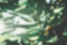 Paisagem - Art & Palavra