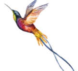 Bird in flight symbolizing communication, freedom, and the power to move voices forward.