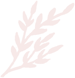 leaf sprig graphic
