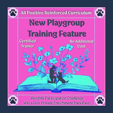 New Feature Playgroup_edited.jpg