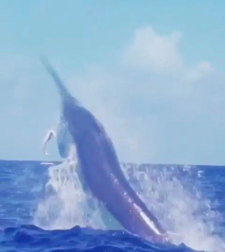 B6408A5F-FD36-48C3-B103-9F0A18B541B2_1_1