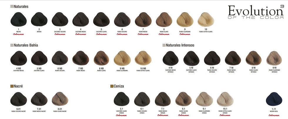 Miniatura: EVOLUTION OF THE COLOR