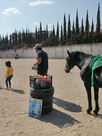 Clases de monta equina y equinoterapia
