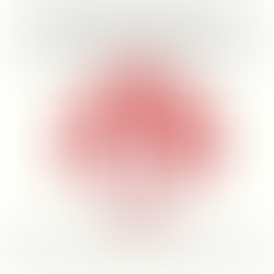 Cedar Springs Chamber Shuttering After 14 Years of Service