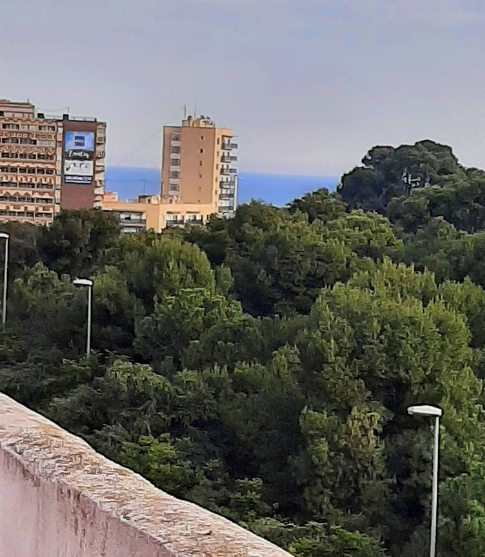 Miniatura: Venta en San Antón - Museo Arq. de Alicante Marq -   2 Hab. con ascensor