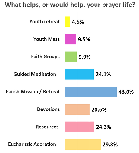 Screen Survey 5.PNG