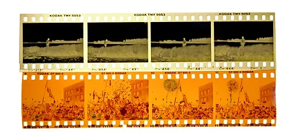 negatives