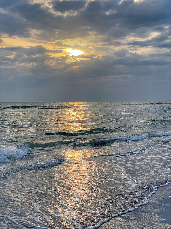 Newsletter Bay Pines Estates Ci