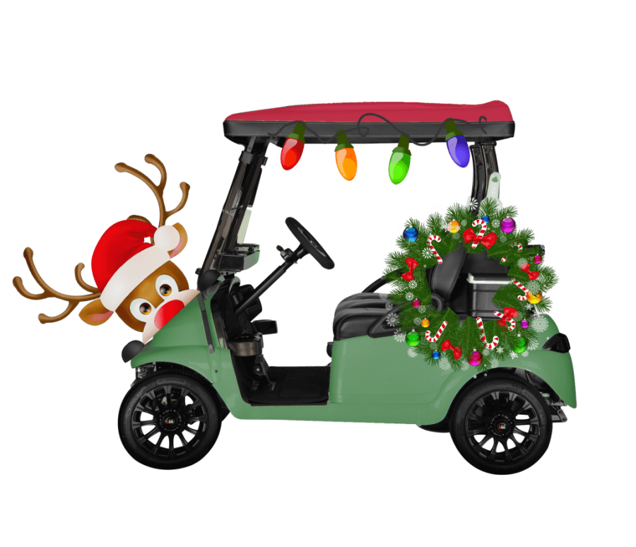 Third Annual Bay Pines Carriage Bay golf cart parade Bay Pines Estates Ci