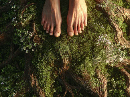 L’éducation à la santé retrouvée : l’anti-âge naturel et la puissance de l’alimentation