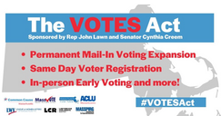 State's Highest Court Denies Effort to Block VOTES Act