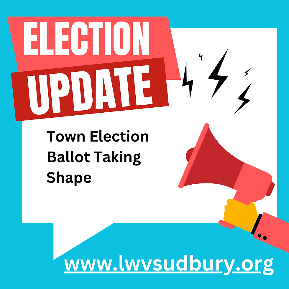 Election Update: Town Election Ballot Taking Shape