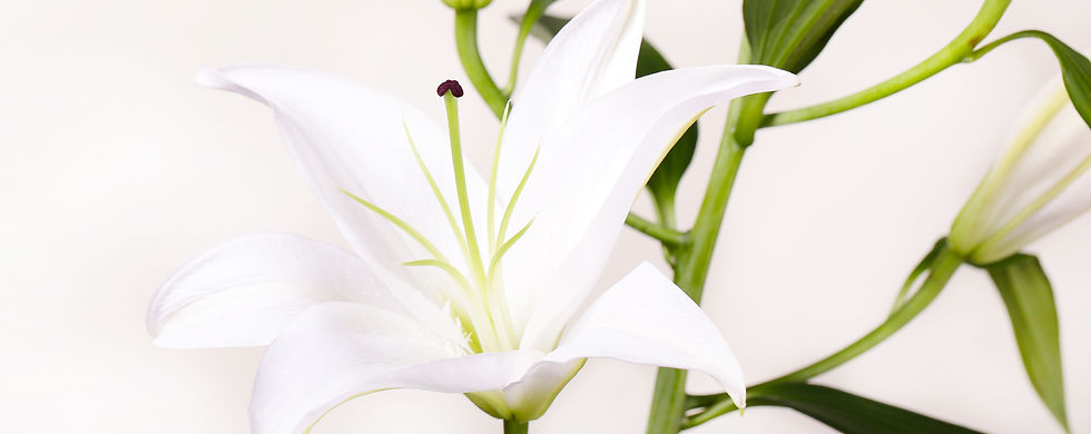Burial Insurance