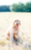 taylor-dail-photography-19.jpg