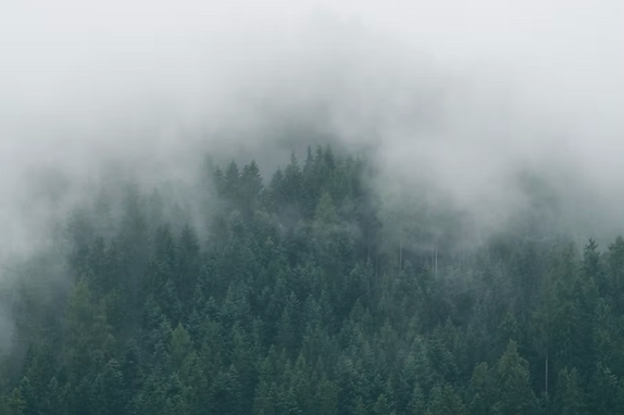 Screenshot 2025-07-24 at 16.36.37.png