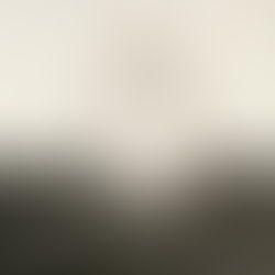 DAVID PACE & STEPHEN WIRTZ