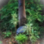 Thumbnail: Unique concrete birdbath bowl with hand-painted details for garden elegance