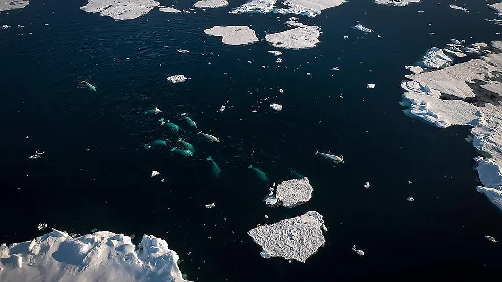 From Nuuk (Greenland) To Nuuk (Greenland)