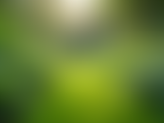 The Importance of Sustainable Living in Today's World